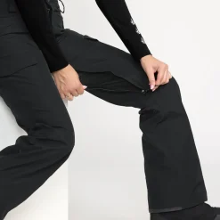 Stonelark GORE-TEX Pant - Women's