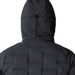 Stretchdown Parka - Men's