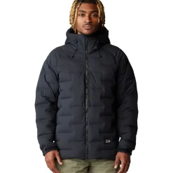 Stretchdown Parka - Men's