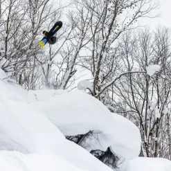Surfer Snowboard - 2026