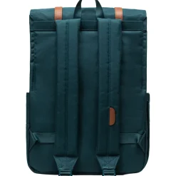 Survey 17.5L Backpack