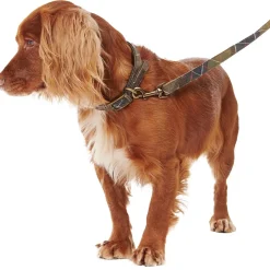 Tartan/Webbing Lead