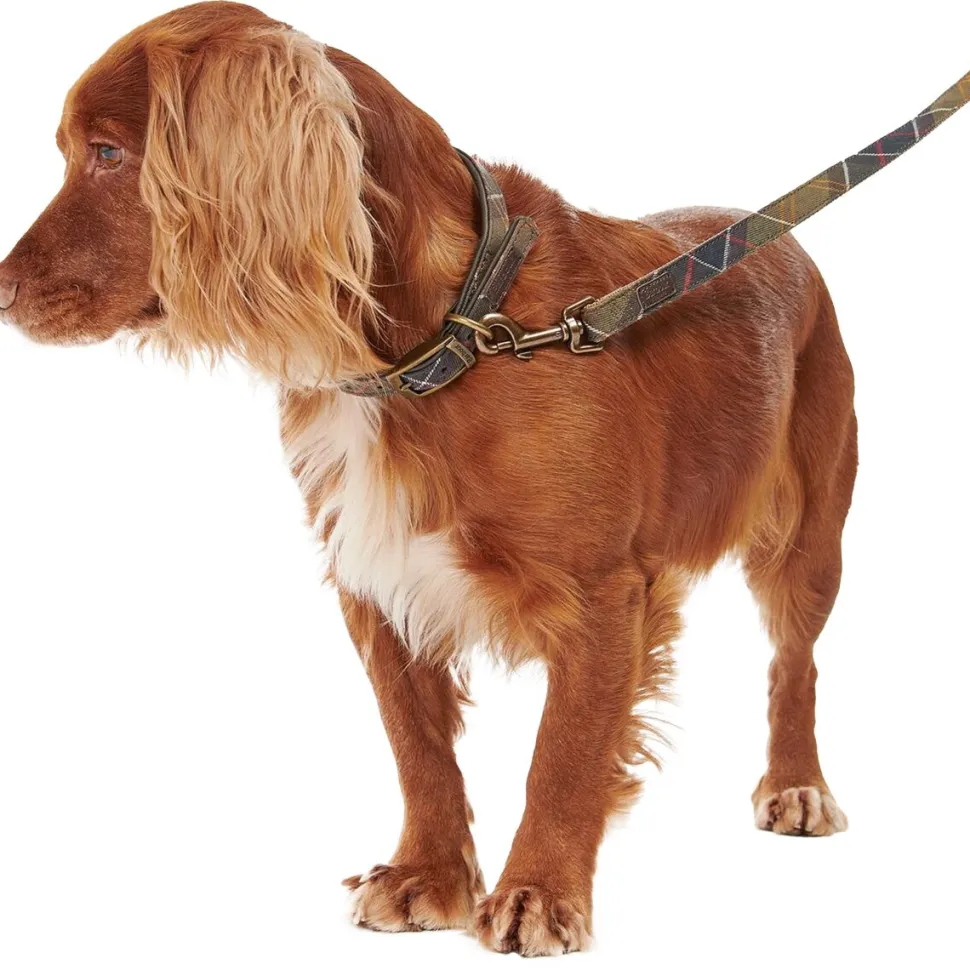 Tartan/Webbing Lead
