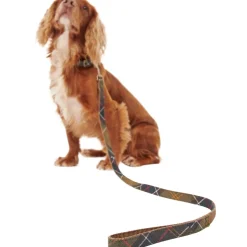 Tartan/Webbing Lead