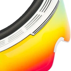 The Proform Goggle