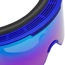The Proform Goggle