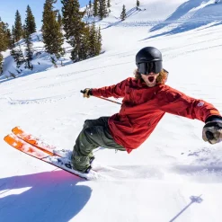 The Proform Goggle