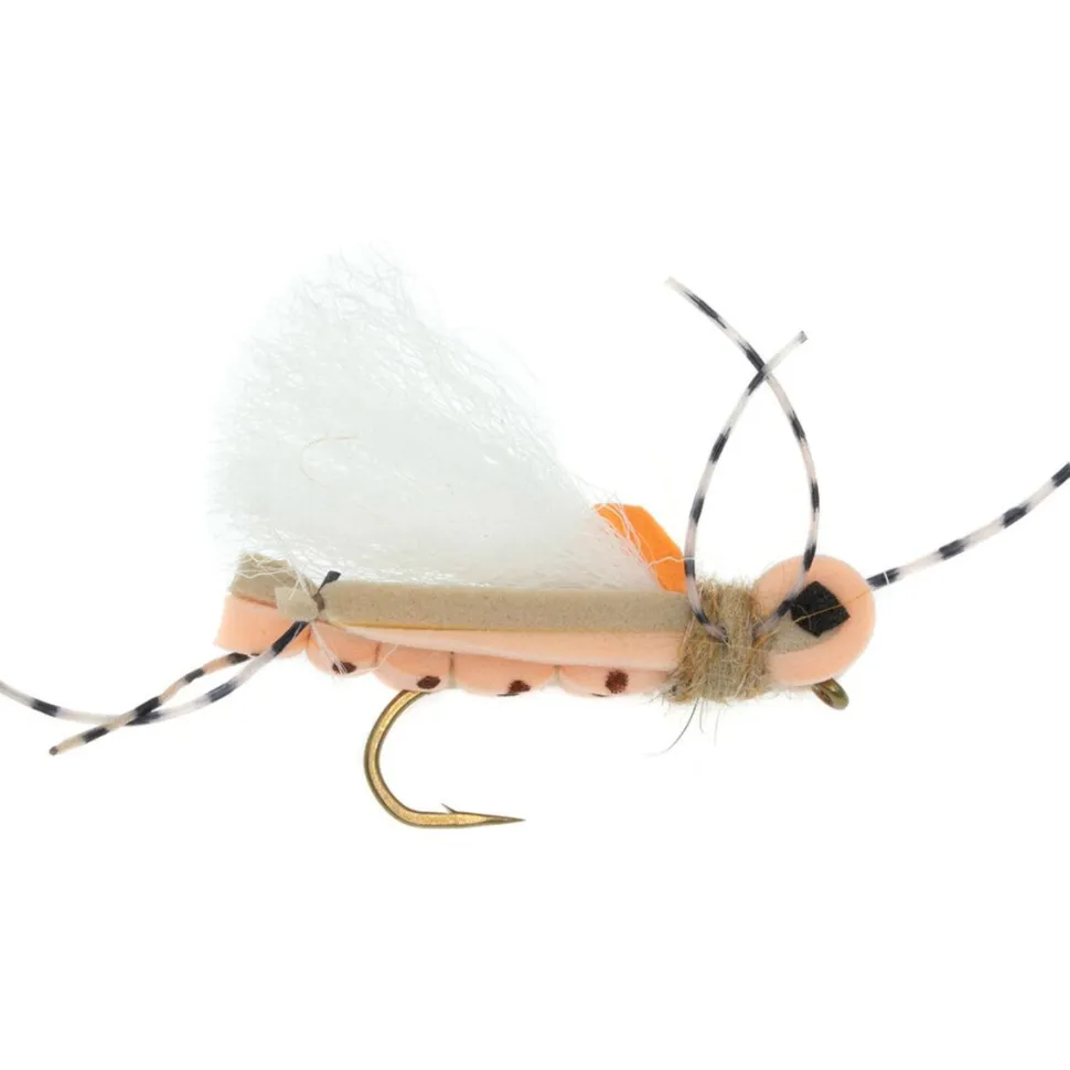 Thunder Thighs Hopper 12-Pack