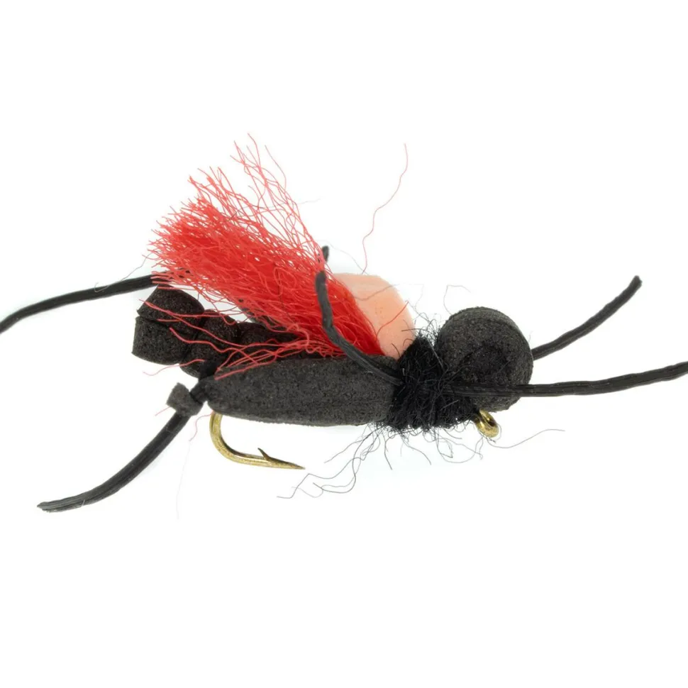 Thunder Thighs Hopper 12-Pack