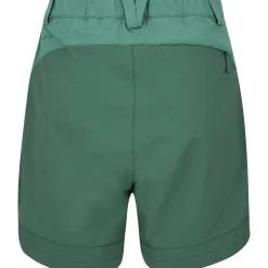 Torque Mountain 6in Short - Women's