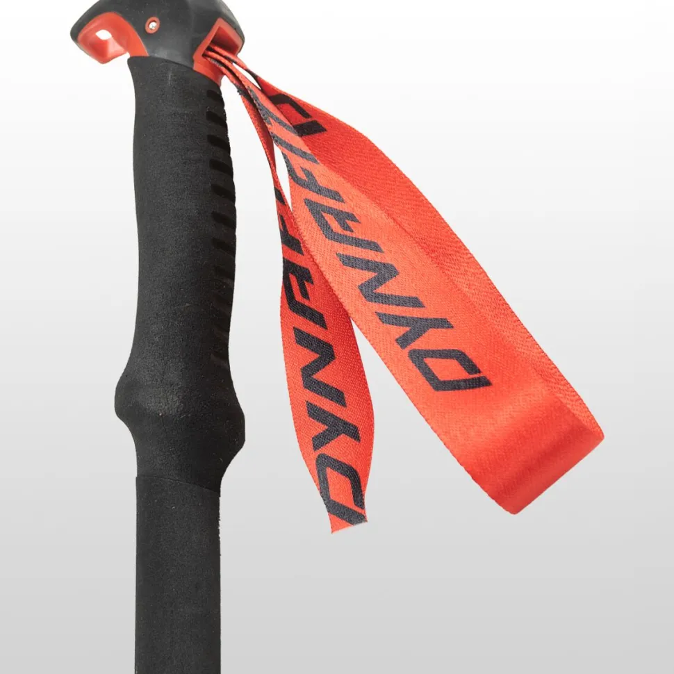 Tour Ski Poles