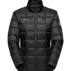 Treeline 3-in-1 HS Hooded Jacket - Women's