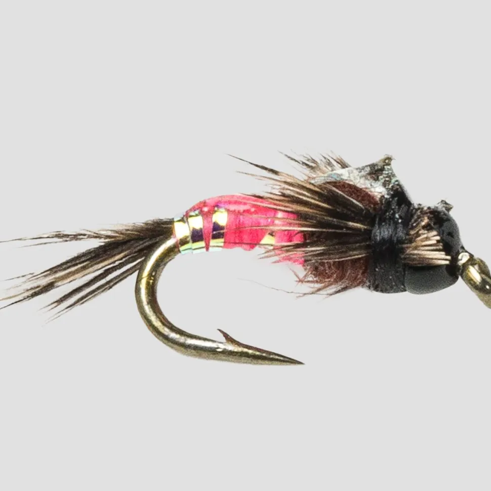 Two Bit Hooker 12-Pack