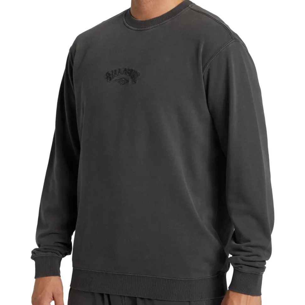 Wave Washed Crewneck Sweatshirt - Men's