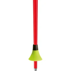 WCR GS 3D Ski Poles
