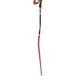 WCR GS 3D Ski Poles